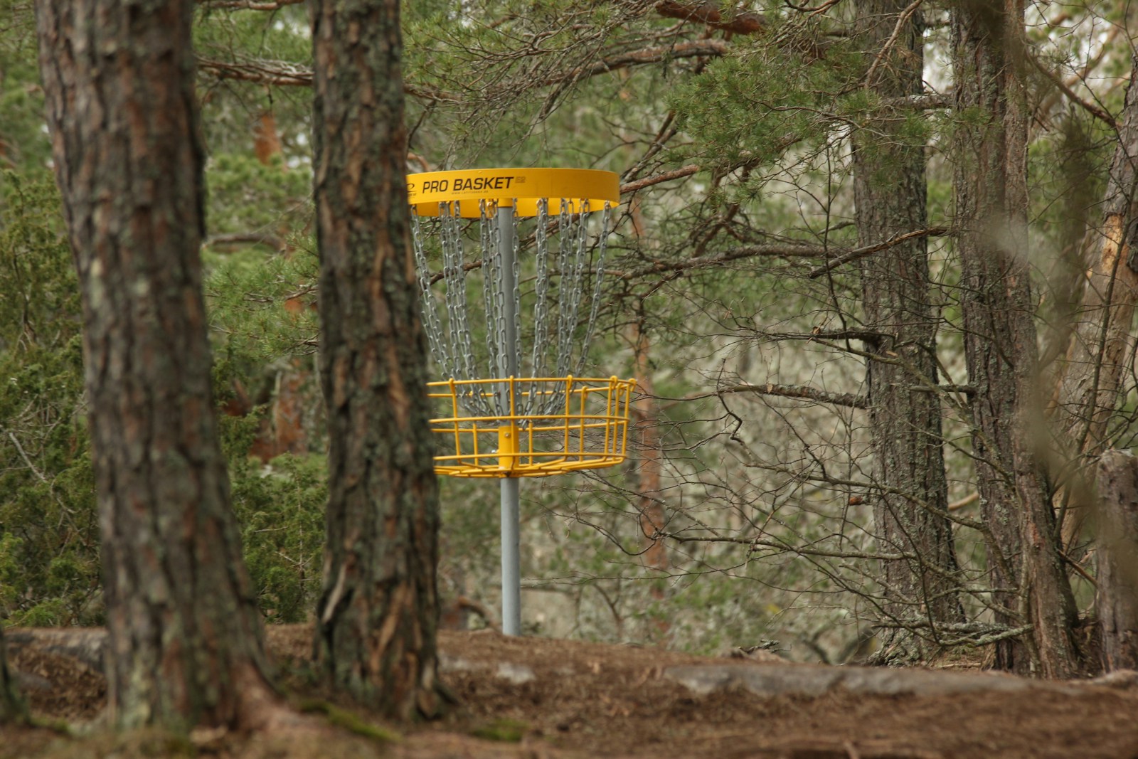 yellow and black disc golf basket near trees during daytime